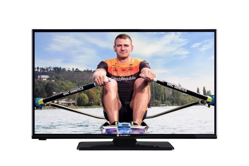 Televize GoGEN TVH 32P260T černá