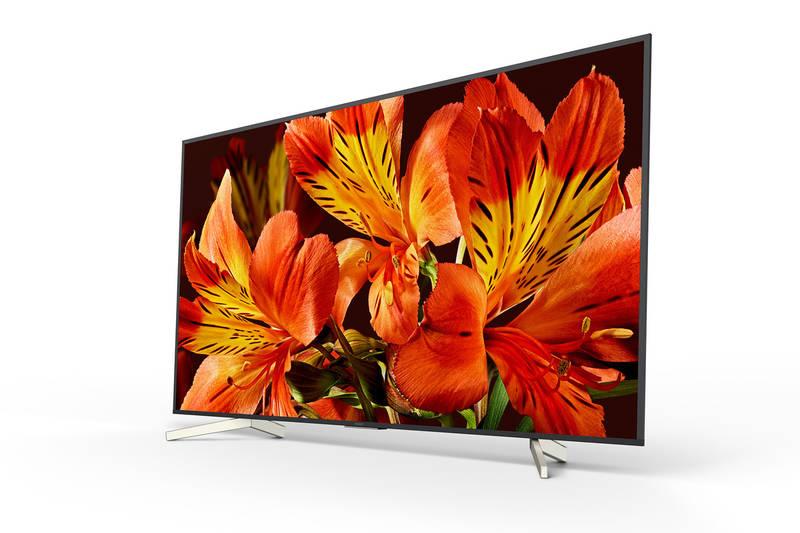 Televize Sony KD-75XF8596