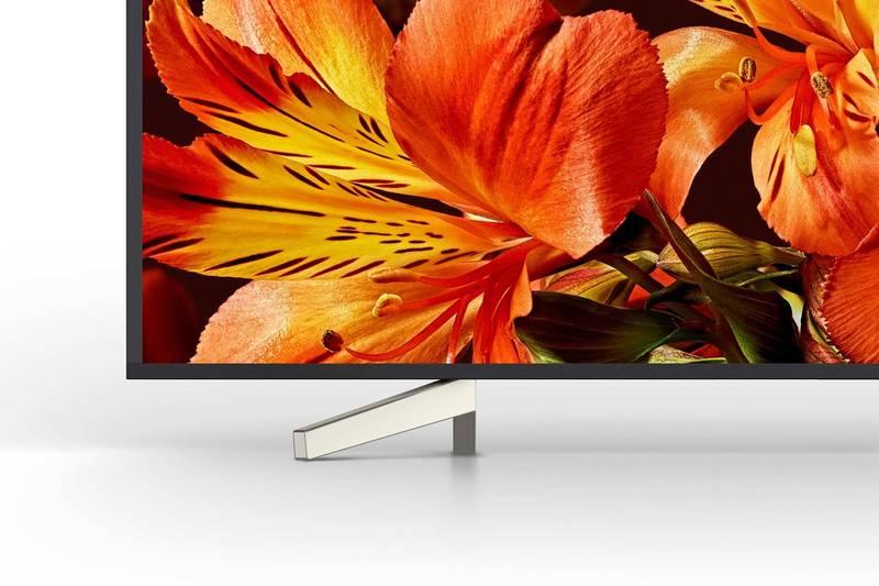 Televize Sony KD-75XF8596