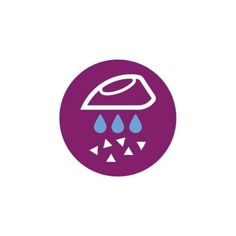 Žehlička Philips EasySpeed Advanced GC2676 20 modrá