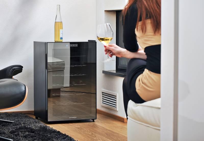 Vinotéka Hyundai VIN 28