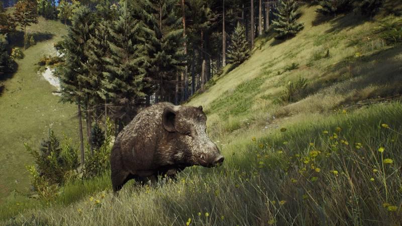 Hra THQ Nordic PC Way of the Hunter