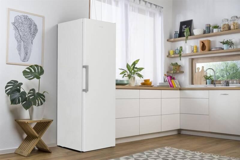 Chladnička Gorenje Essential R619FEW5 bílá