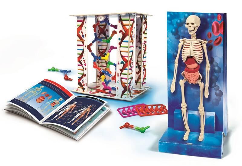 Experimentální sada Clementoni Lidské tělo