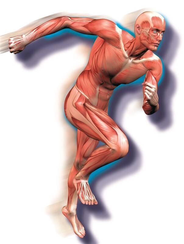 Experimentální sada Clementoni Lidské tělo