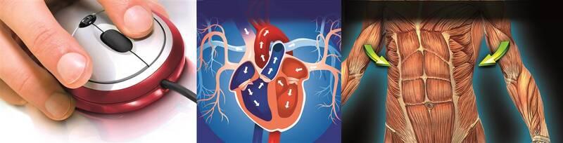 Experimentální sada Clementoni Lidské tělo