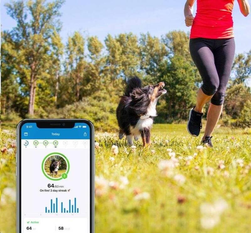GPS lokátor Tractive DOG 4 LTE – sledování polohy a aktivity pro psy bílý, GPS, lokátor, Tractive, DOG, 4, LTE, –, sledování, polohy, a, aktivity, pro, psy, bílý