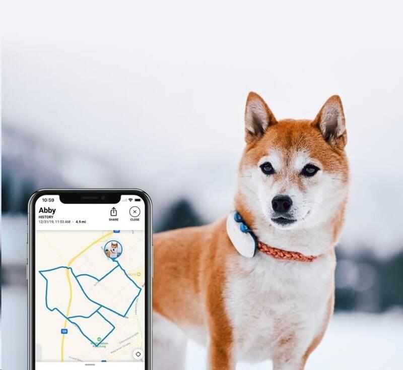 GPS lokátor Tractive DOG 4 LTE – sledování polohy a aktivity pro psy bílý