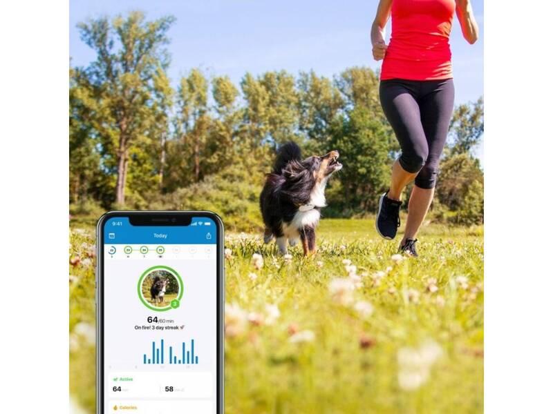 GPS lokátor Tractive DOG 4 LTE – sledování polohy a aktivity pro psy modrý