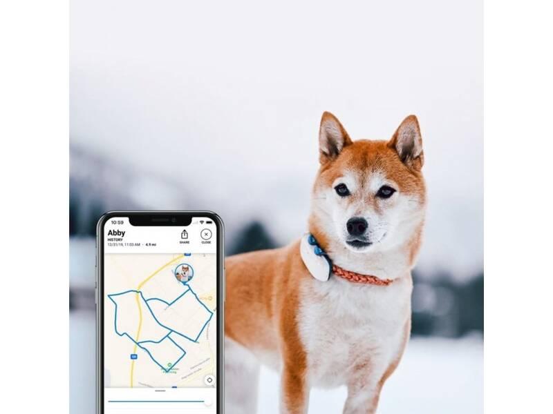 GPS lokátor Tractive DOG 4 LTE – sledování polohy a aktivity pro psy modrý