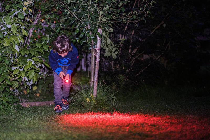 Svítilna LEDLENSER KIDBEAM 4 DINO zelená