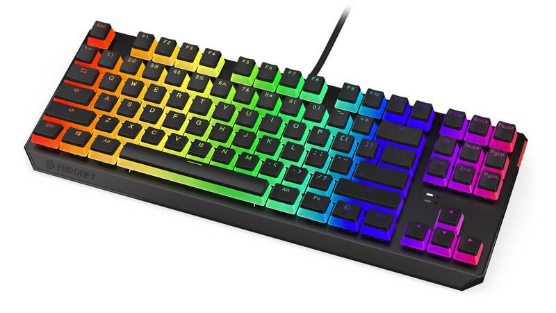 Klávesnice ENDORFY Thock TKL Pudding Kailh Blue, RGB, US layout černá