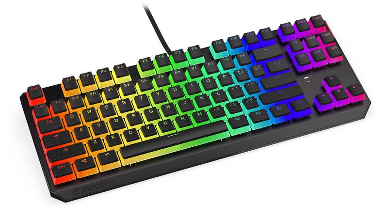 Klávesnice ENDORFY Thock TKL Pudding Kailh Blue, RGB, US layout černá
