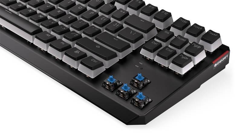 Klávesnice ENDORFY Thock TKL Pudding Kailh Blue, RGB, US layout černá