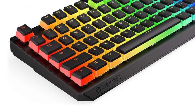 Klávesnice ENDORFY Thock TKL Pudding Kailh Blue, RGB, US layout černá