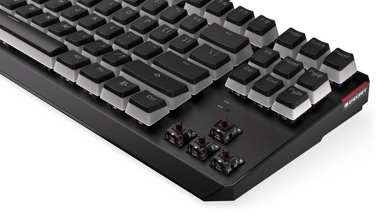 Klávesnice ENDORFY Thock TKL Pudding Kailh Brown, RGB, US layout černá