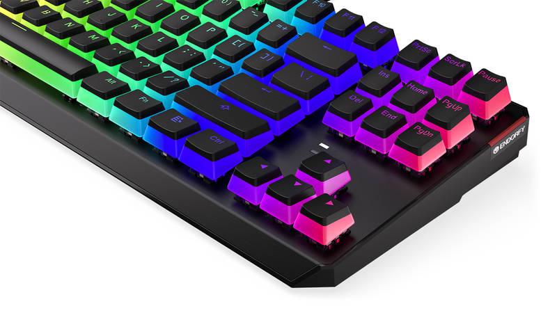 Klávesnice ENDORFY Thock TKL Pudding Kailh Red, RGB, US layout černá