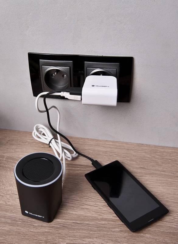 Nabíječka do sítě GoGEN ACH 200, 2x USB, 2,1A černá bílá