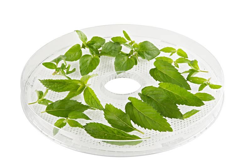 Síto pro sušičky Gallet DES 119 HERB bílé