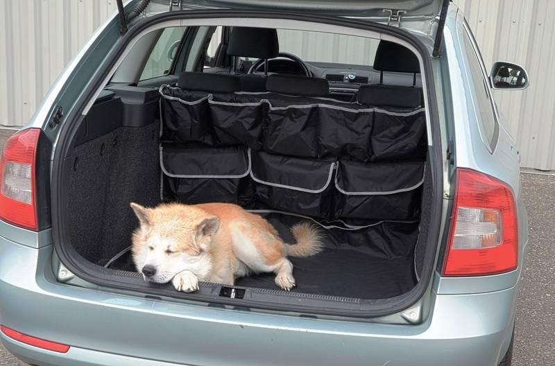 Deka Compass do kufru, s kapsami