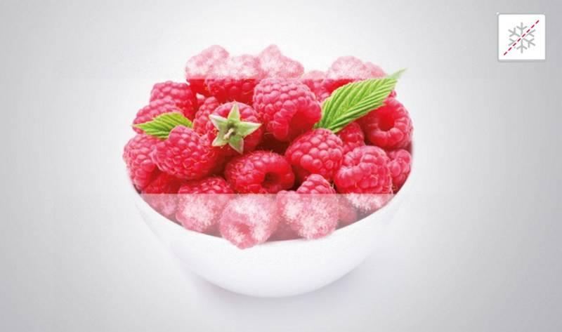 Chladnička s mrazničkou Gorenje RK6W2 bílá