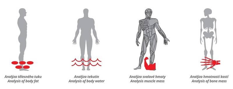 Osobní váha Gallet Fler PEP 712 černá