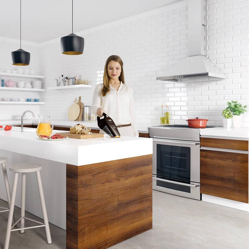 Akumulátorový vysavač Electrolux Rapido ZB6108C hnědý