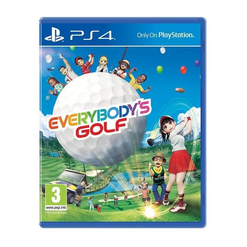 Hra Sony PlayStation 4 Everybody