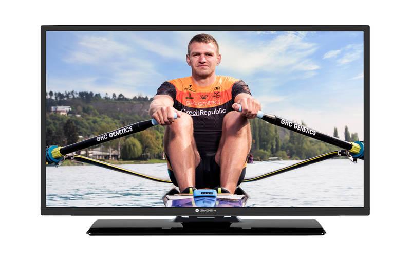 Televize GoGEN TVF 32P471T černá