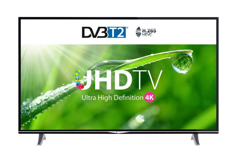 Televize GoGEN TVU 55V298 STWEB černá