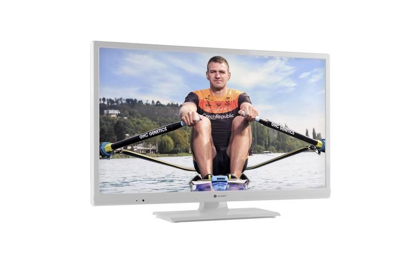 Televize GoGEN TVH 24R540 STWEBW bílá