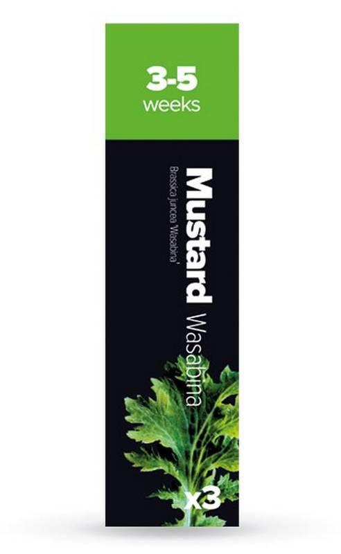 Bylinky Plantui Mustard