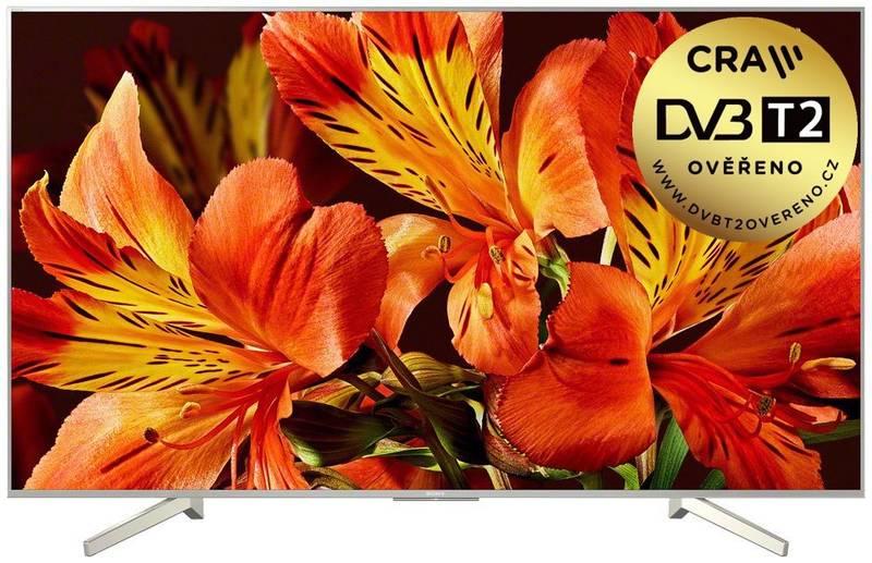 Televize Sony KD-49XF8577 stříbrná