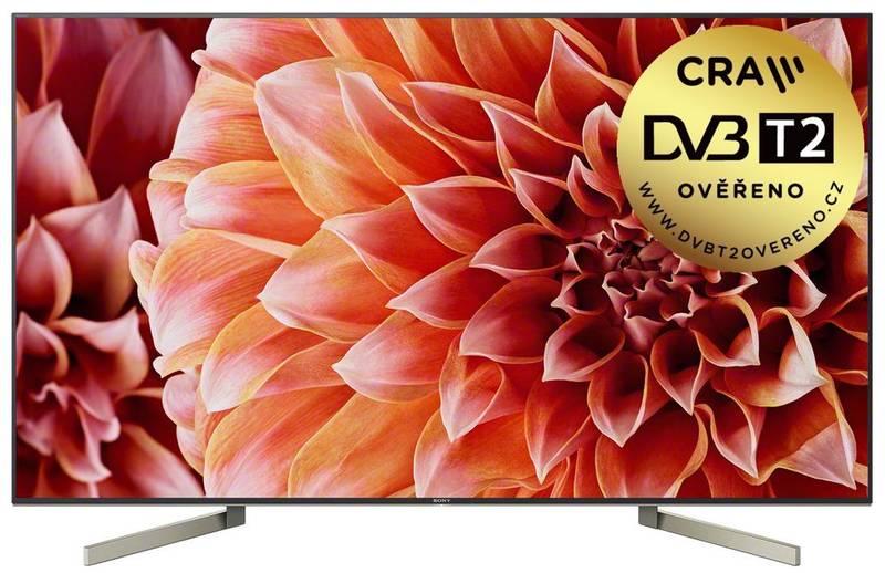 Televize Sony KD-55XF9005 černá