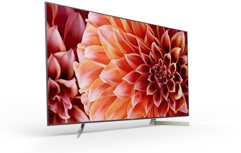 Televize Sony KD-55XF9005 černá