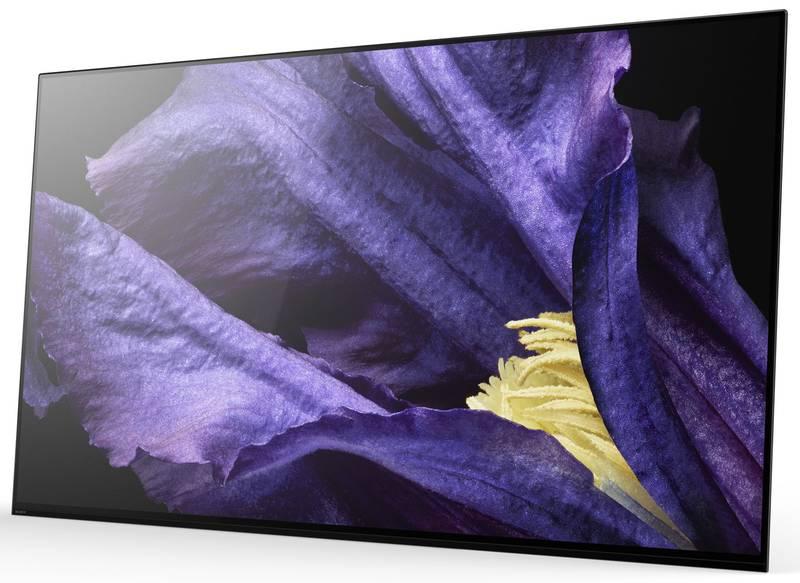 Televize Sony KD-55AF9 černá