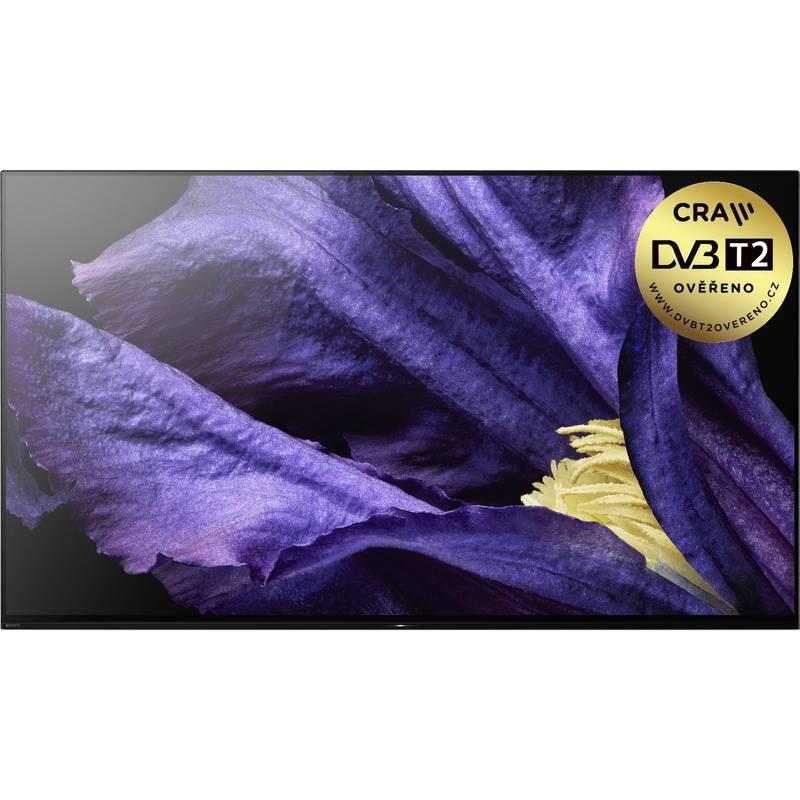 Televize Sony KD-55AF9 černá