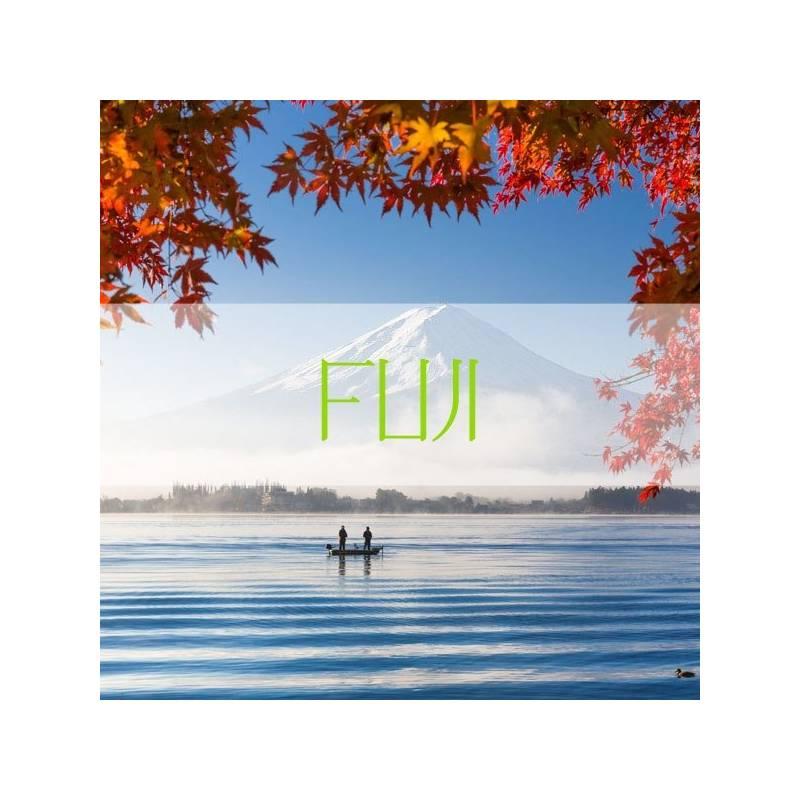 Vůně do auta VINOVE Fuji