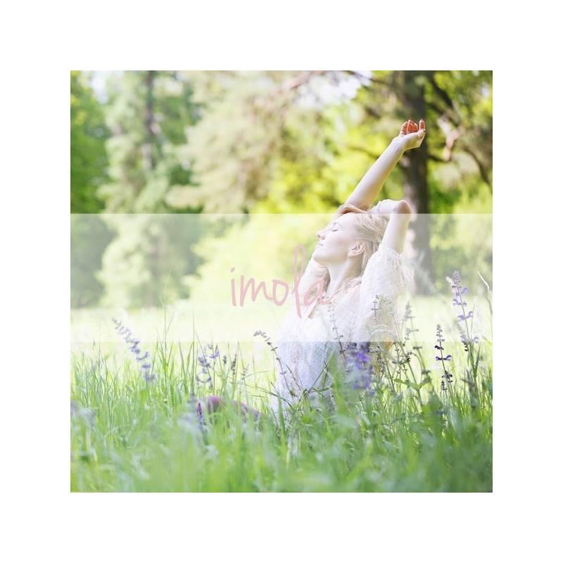 Vůně do auta VINOVE Imola