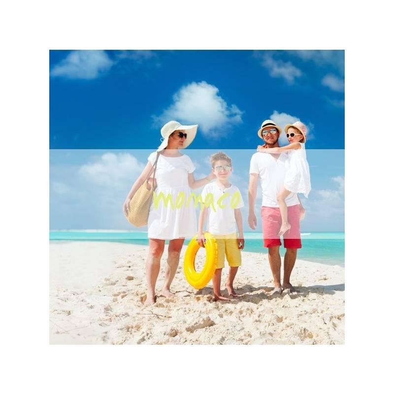 Vůně do auta VINOVE Monaco