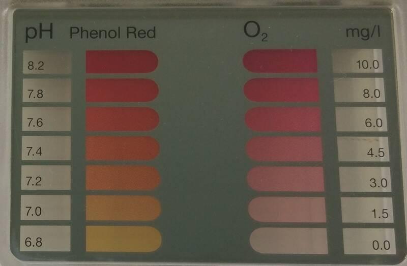 Tester Marimex pH a O2 tabletový
