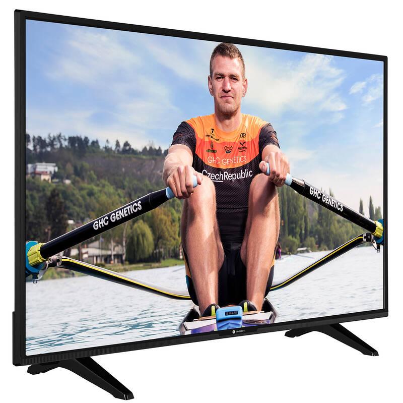 Televize GoGEN TVH 32P452T černá