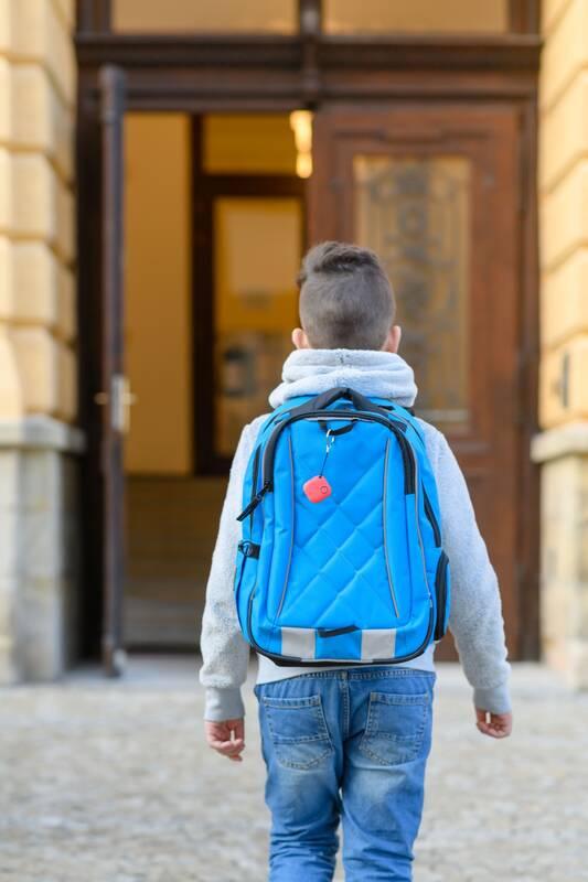 Klíčenka FIXED Smile s motion senzorem, DUO PACK zelená růžová