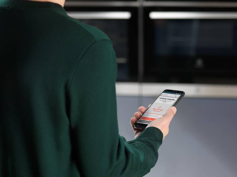 Trouba Electrolux EOB9S31WX