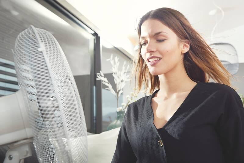 Ventilátor stolní Black Decker BXEFD42E bílý