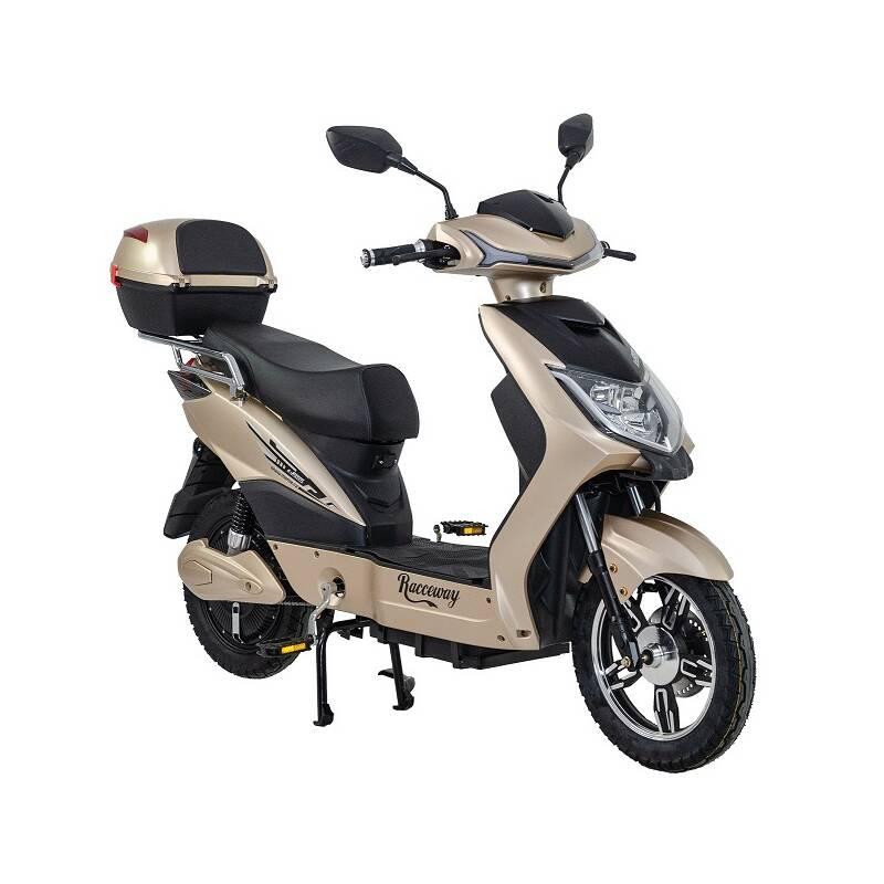 Elektrická motorka RACCEWAY E-FICHTL