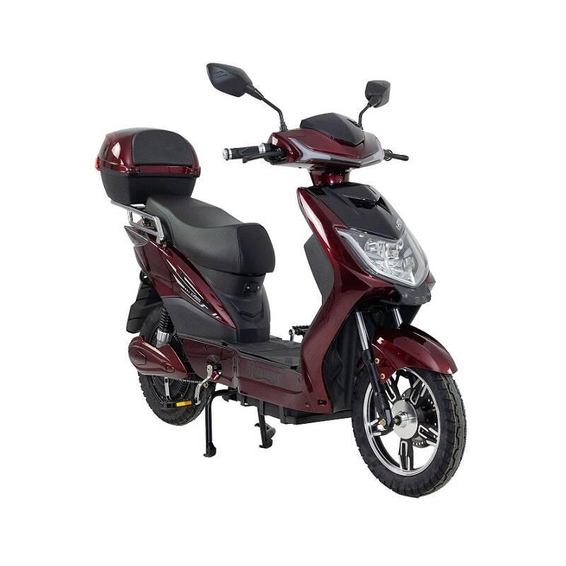 Elektrická motorka RACCEWAY E-FICHTL