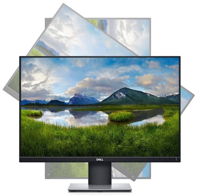 Monitor Dell Professional P2421