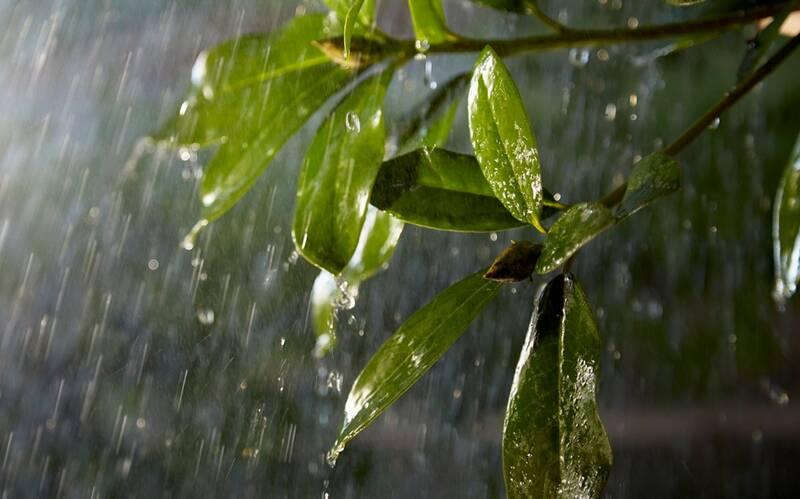 Kabel Philips Hue venkovní prodlužovací 2,5m 12V