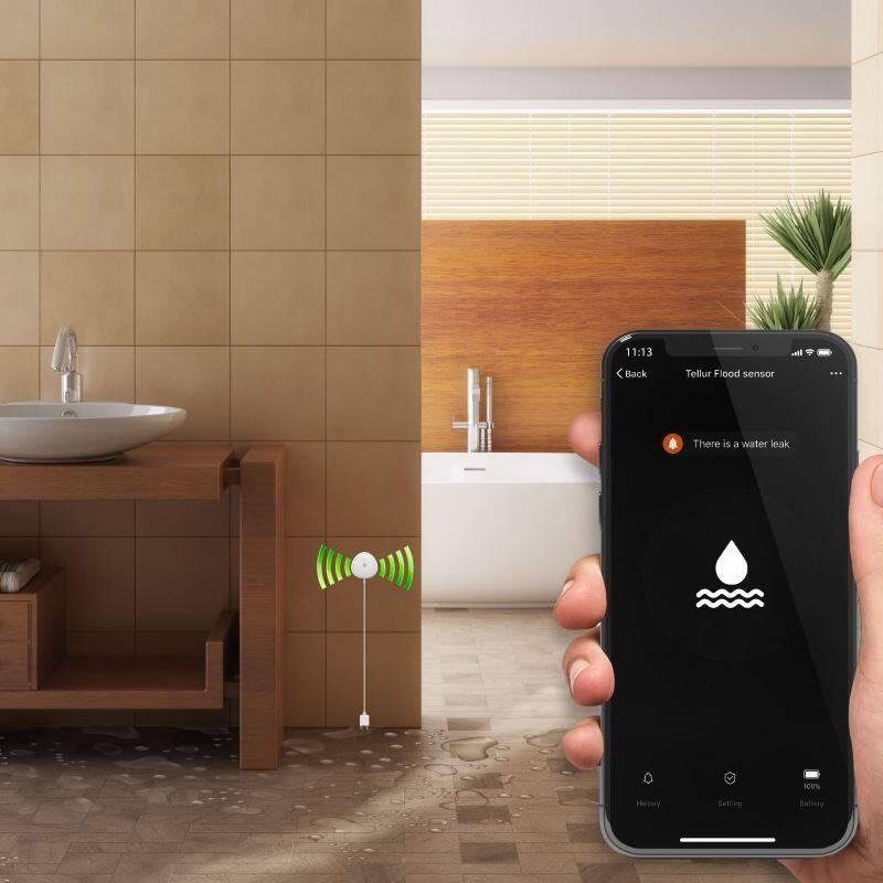 Detektor úniku vody Tellur WiFi Smart, AAA